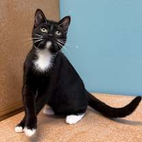 Thumbnail photo of Antonia #1