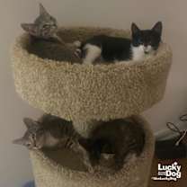 Thumbnail photo of Spooky Sam #2