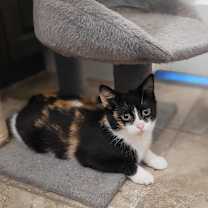 Thumbnail photo of Loretta #1