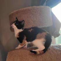 Thumbnail photo of Loretta #2