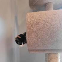 Thumbnail photo of Loretta #3