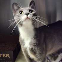 Thumbnail photo of Delilah #1