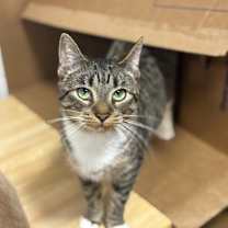 Thumbnail photo of Dottie #1