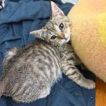 Thumbnail photo of Patricia #2