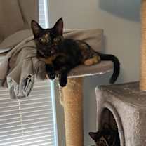 Thumbnail photo of Iowa (and Georgia) #1