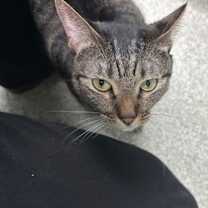 Thumbnail photo of Cara #3