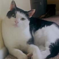 Thumbnail photo of PJ #2