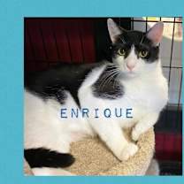 Thumbnail photo of Enrique #2