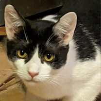 Thumbnail photo of Enrique #3