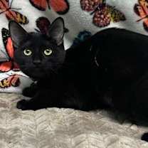 Thumbnail photo of 250847  Ester #1