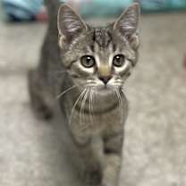 Thumbnail photo of Edgar #1