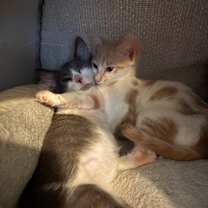 Thumbnail photo of Kailani #4