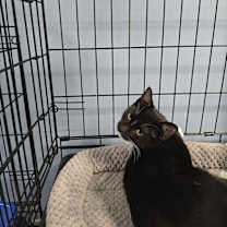 Thumbnail photo of Kairi #2