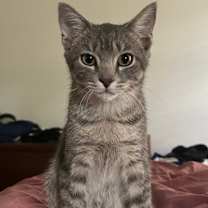 Thumbnail photo of Ozzy #1