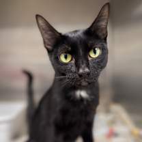 Thumbnail photo of Millie #1