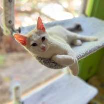 Thumbnail photo of Ginny #1