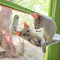 Thumbnail photo of Ginny #3