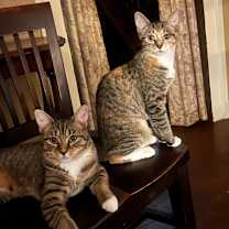 Thumbnail photo of Andy #1