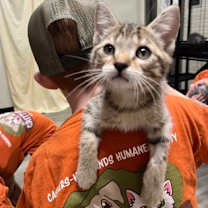 Thumbnail photo of Bullseye #2