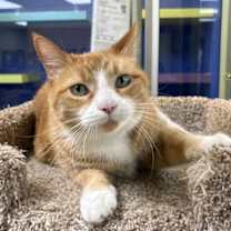 Thumbnail photo of Precious #2