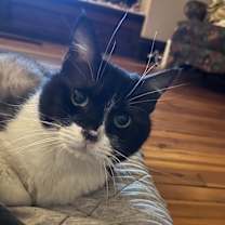 Thumbnail photo of Ladle #2