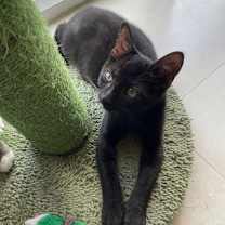 Thumbnail photo of PB #4