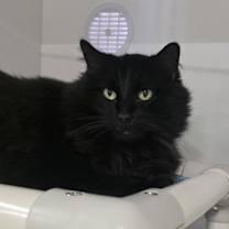 Thumbnail photo of Valencia #1