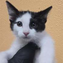 Thumbnail photo of 59558043 #2