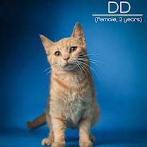 Thumbnail photo of DD #1