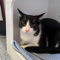 Thumbnail photo of 656371 Pepper #1