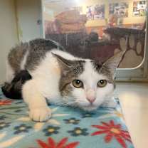 Thumbnail photo of Charlotte #3