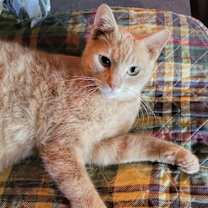 Thumbnail photo of Brian #3