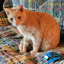 Thumbnail photo of Brian #4