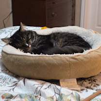 Thumbnail photo of GUCCI #4