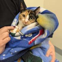 Thumbnail photo of Hip-Hop #1