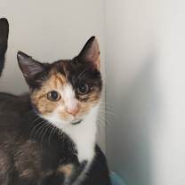 Thumbnail photo of Hip-Hop #2