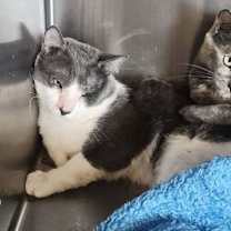 Thumbnail photo of Light #2