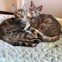 Thumbnail photo of Kalina #3