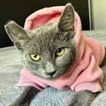 Thumbnail photo of Sasha (CP) #1