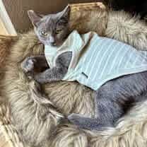 Thumbnail photo of Sasha (CP) #4