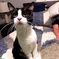 Thumbnail photo of Lois #2