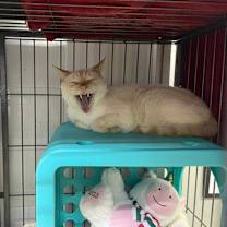 Thumbnail photo of Nate #2