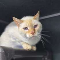 Thumbnail photo of Nate #4