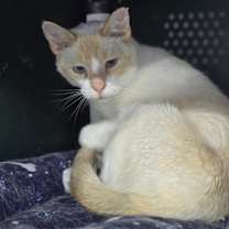 Thumbnail photo of Isaac #3