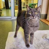 Thumbnail photo of George #3