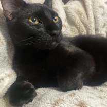 Thumbnail photo of Rowan #2