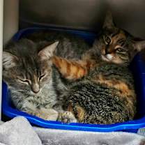 Thumbnail photo of Gillian #2