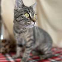 Thumbnail photo of Orchid #2