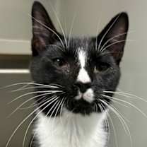 Thumbnail photo of Woody #2