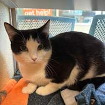 Thumbnail photo of Squash #2